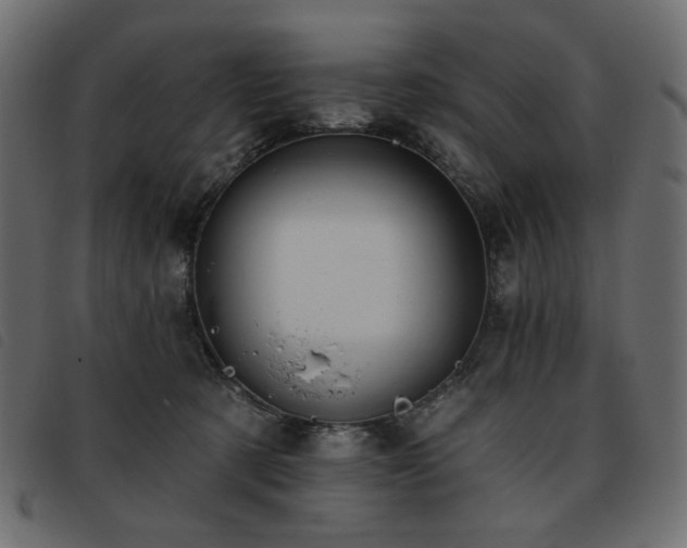 X0000093760321200710161227