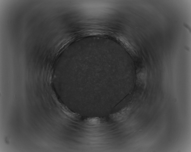 X0000093760325200710161227