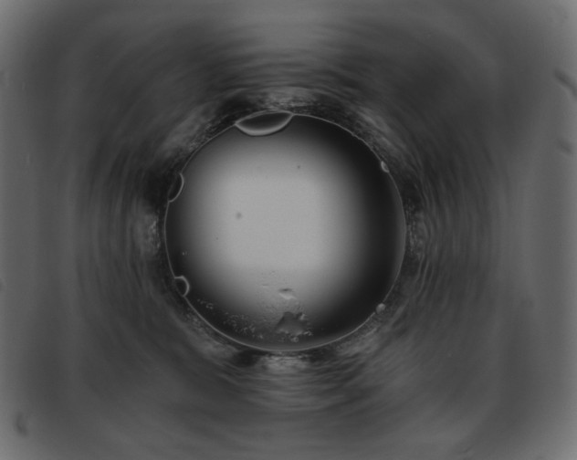 X0000093760327200710161227