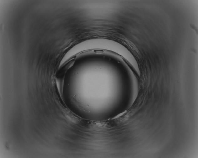 X0000093760329200710161227