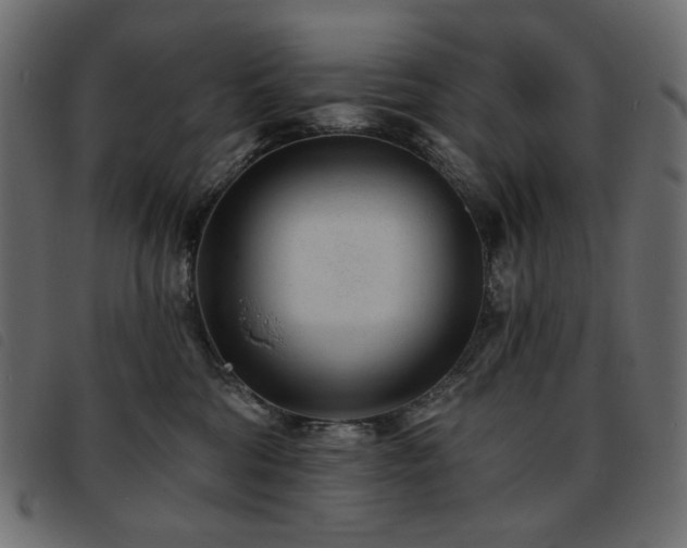 X0000093760330200710161227