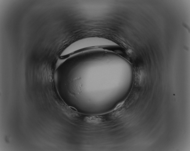 X0000093760331200710161227