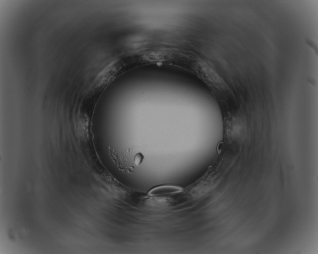 X0000093760332200710161227
