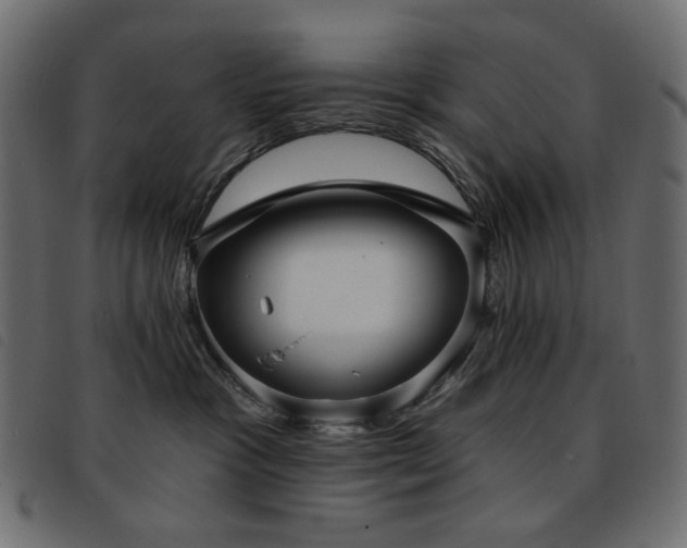 X0000093760333200710161227