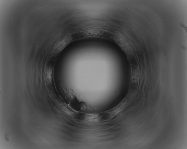 X0000093760334200710161227