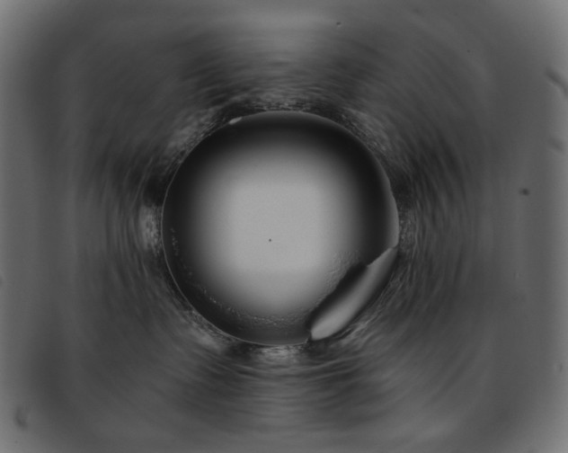 X0000093760335200710161227