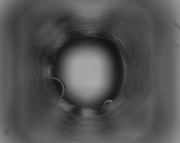 X0000093760336200710161227