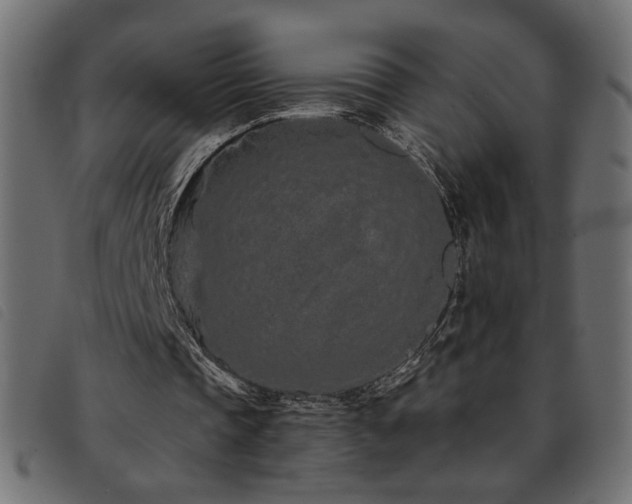 X0000093760337200710161227