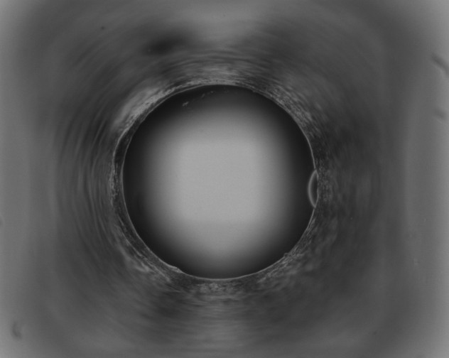 X0000093760338200710161227