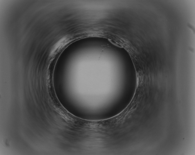 X0000093760339200710161227