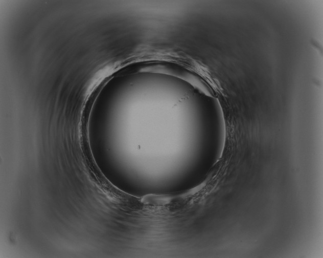 X0000093760340200710161227