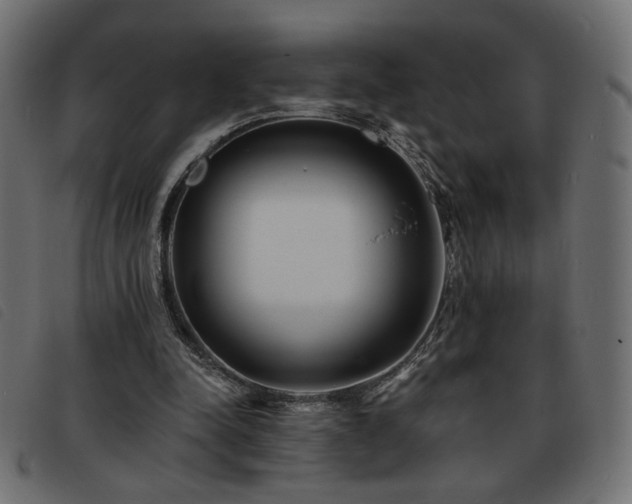 X0000093760342200710161227