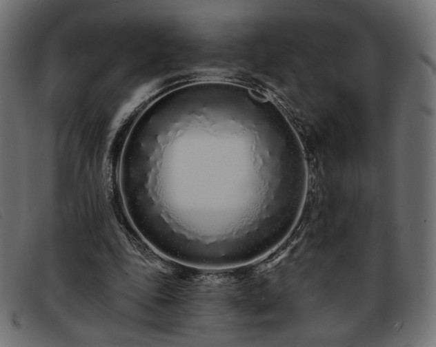 X0000093760343200710161227