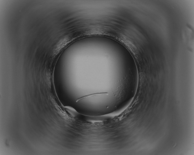 X0000093760345200710161227