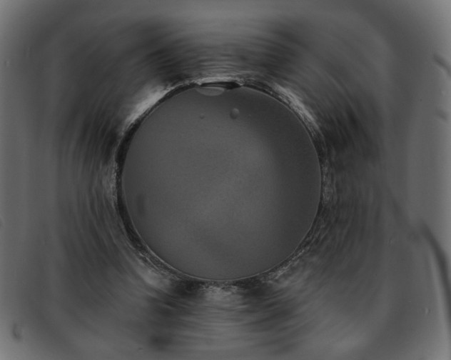 X0000093760346200710161227