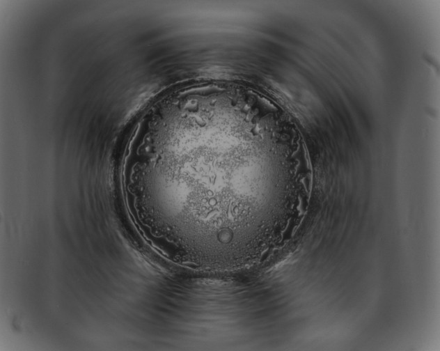 X0000093760347200710161227