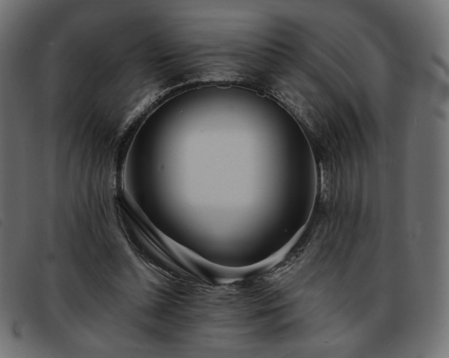 X0000093760348200710161227