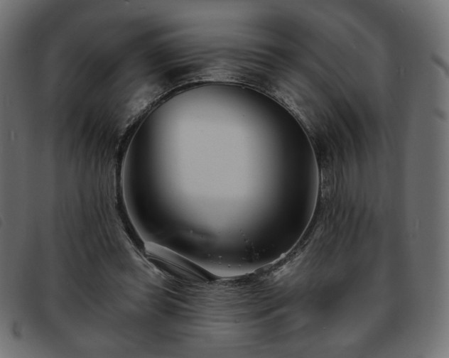 X0000093760349200710161227