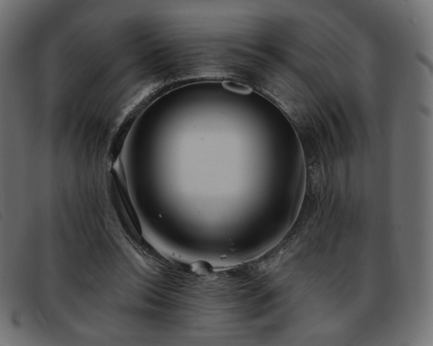 X0000093760350200710161227