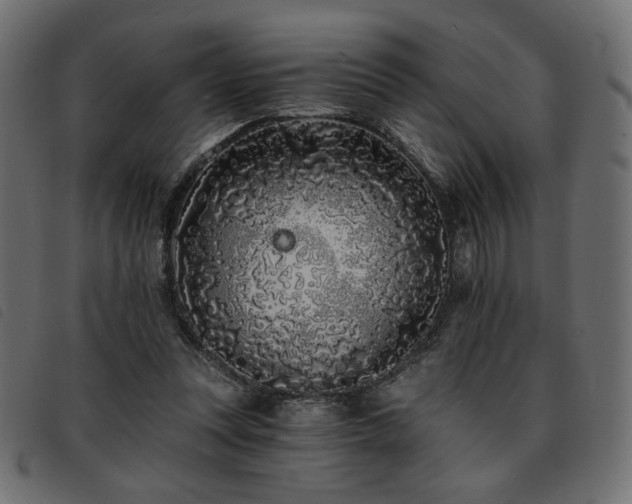 X0000093760351200710161227
