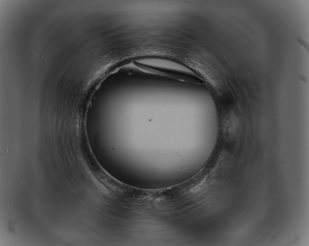 X0000093760352200710161227