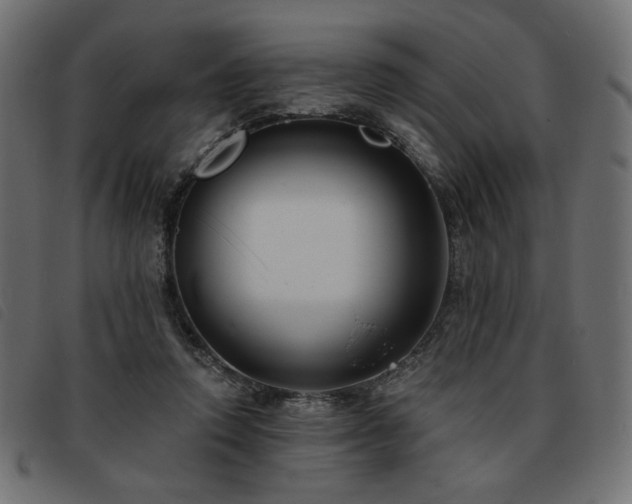 X0000093760354200710161227
