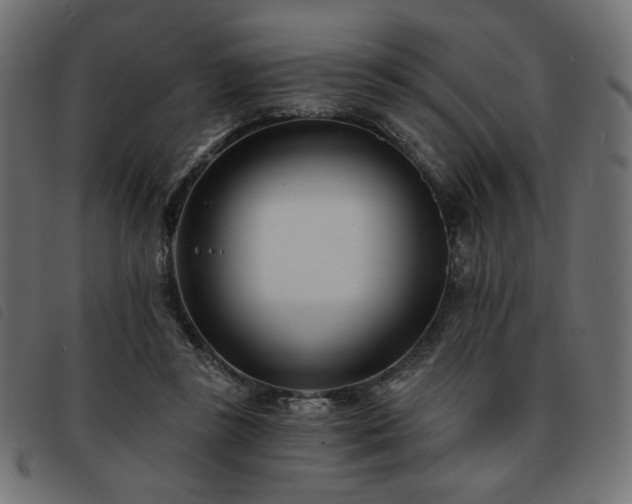 X0000093760355200710161227