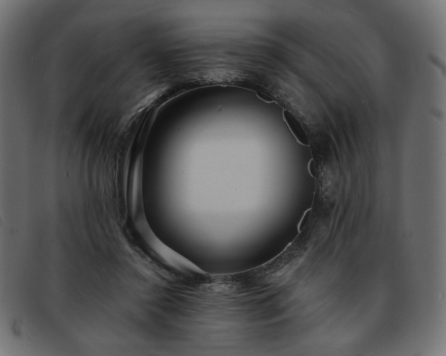 X0000093760356200710161227