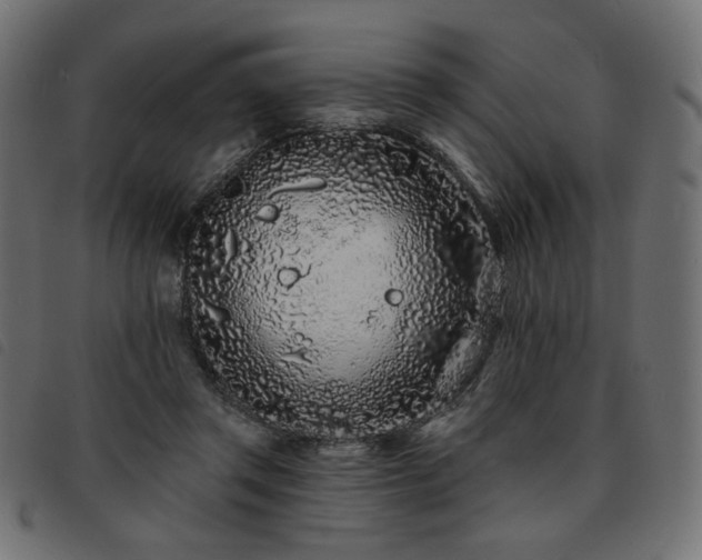 X0000093760357200710161227