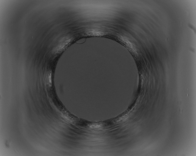 X0000093760358200710161227
