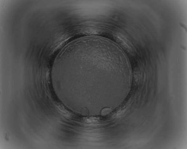 X0000093760359200710161227
