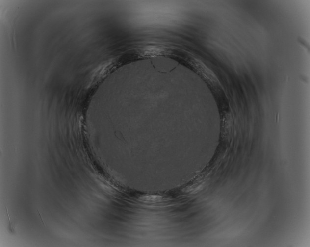 X0000093760361200710161227