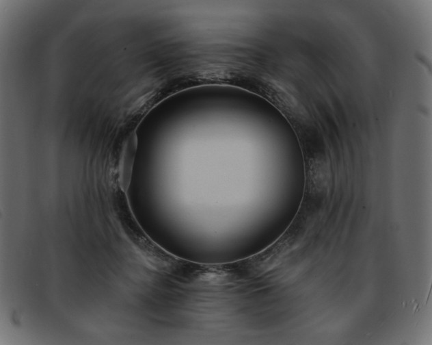 X0000093760364200710161227