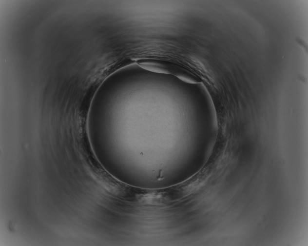 X0000093760366200710161227