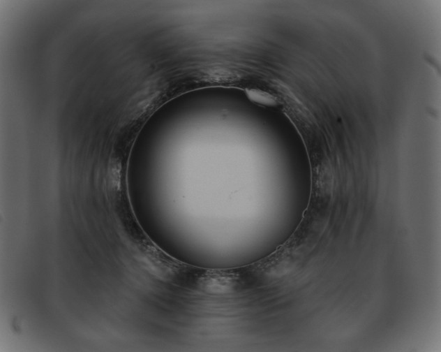 X0000093760368200710161227