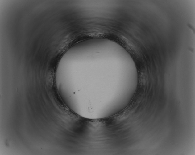 X0000093760370200710161227
