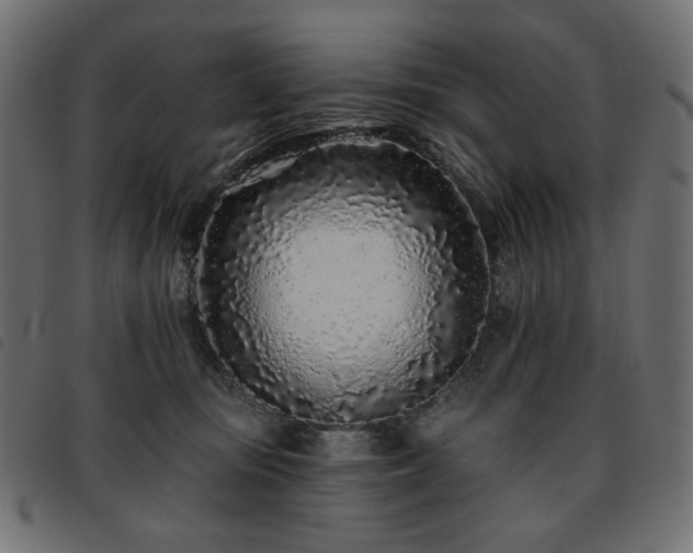 X0000093760371200710161227