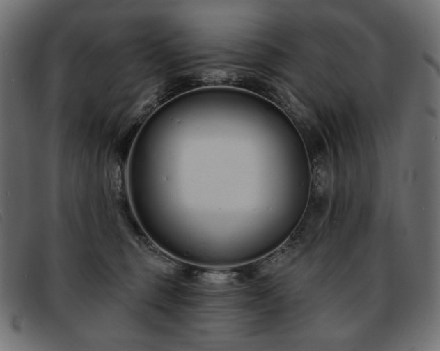 X0000093760375200710161227