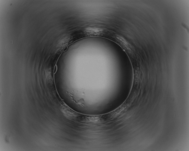 X0000093760377200710161227
