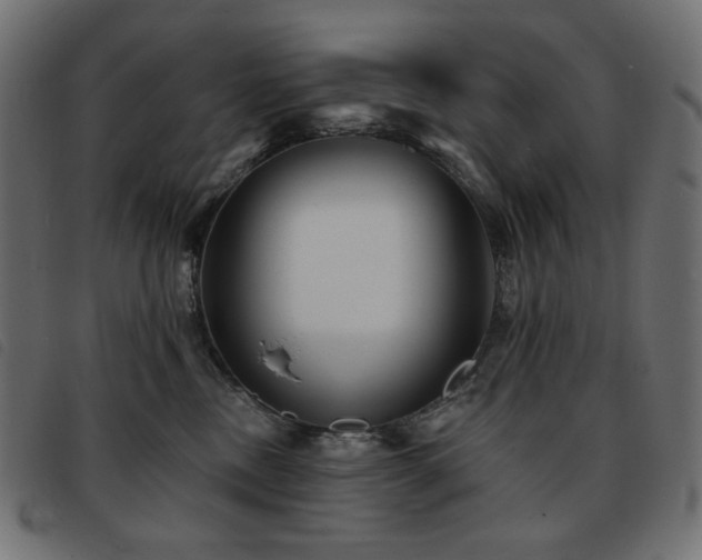 X0000093760378200710161227