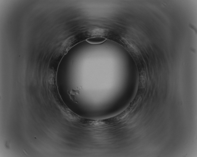X0000093760379200710161227