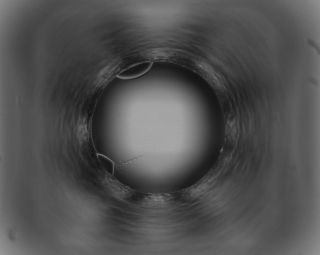 X0000093760381200710161227