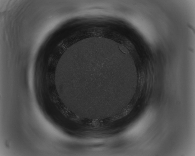 X0000093760383200710161227