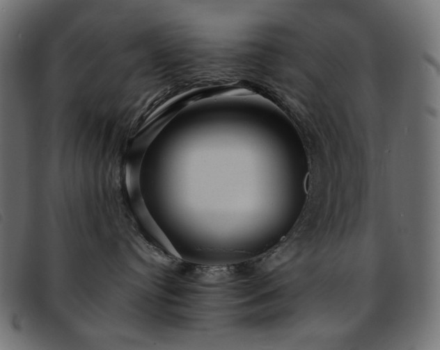 X0000093760384200710161227