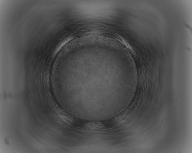 X0000093760386200710161227