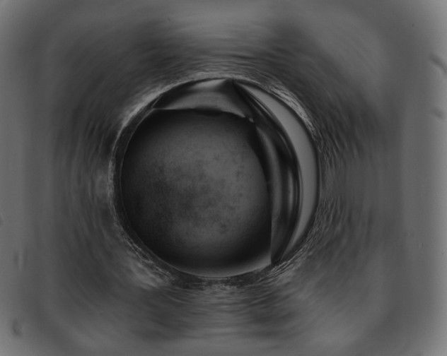 X0000093760387200710161227