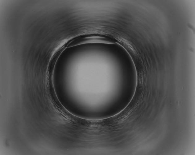 X0000093760388200710161227