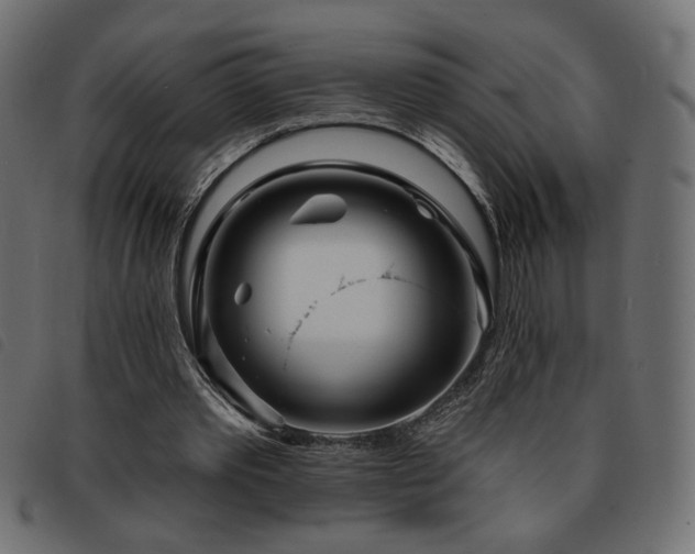 X0000093760389200710161227