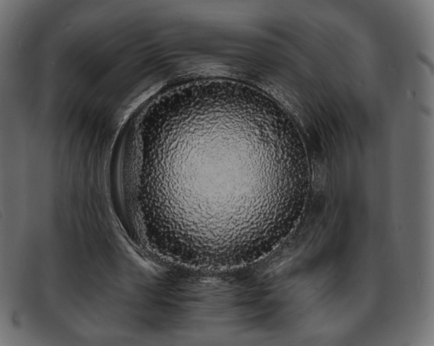 X0000093760390200710161227