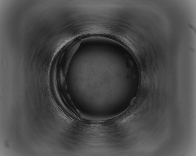 X0000093760391200710161227